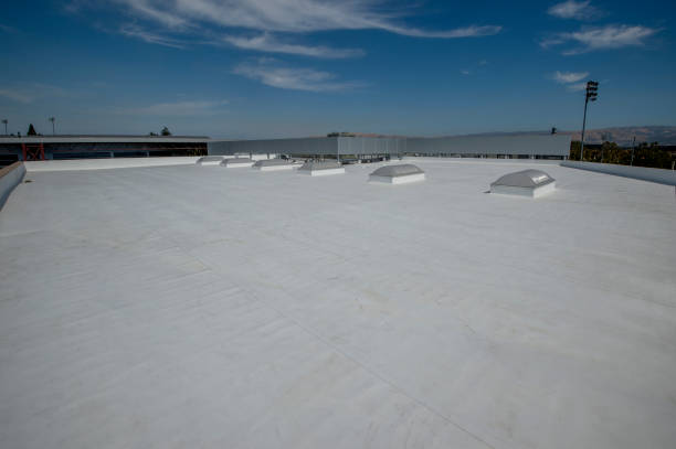 Best Roof Coating and Sealing  in Sardinia, OH